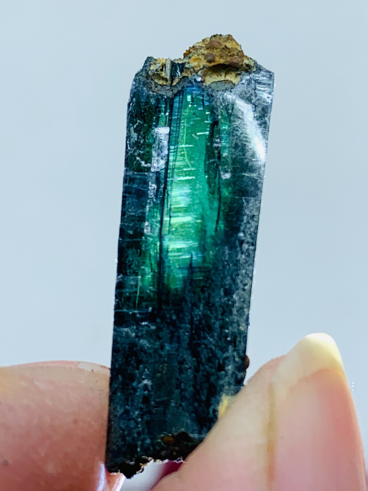 10ct 30mm TOP EXCELLENT BLUE GREEN VIVIANITE CRYSTALS Specimen FROM Brazil GEM