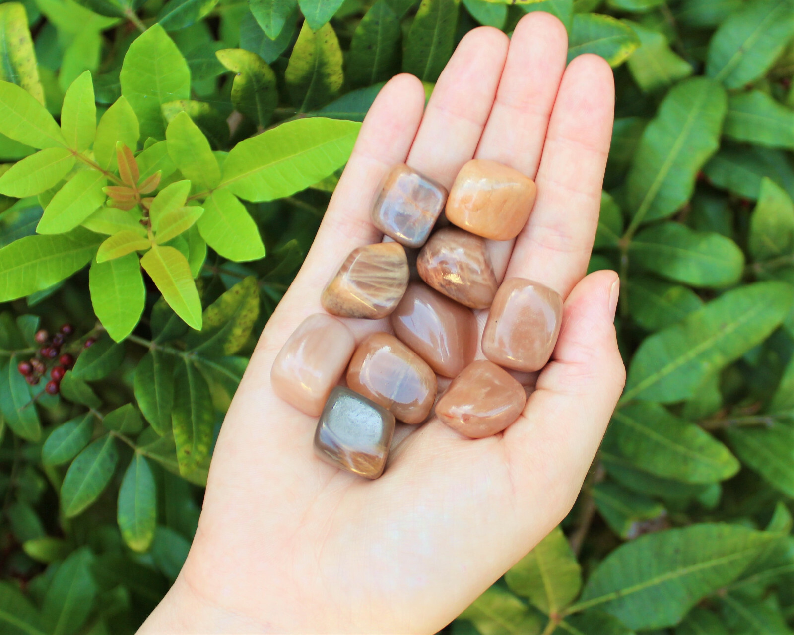1/4 lb Bulk Lot PEACH Moonstone Tumbled Stone, Crystal Healing Reiki Tumble 4 oz