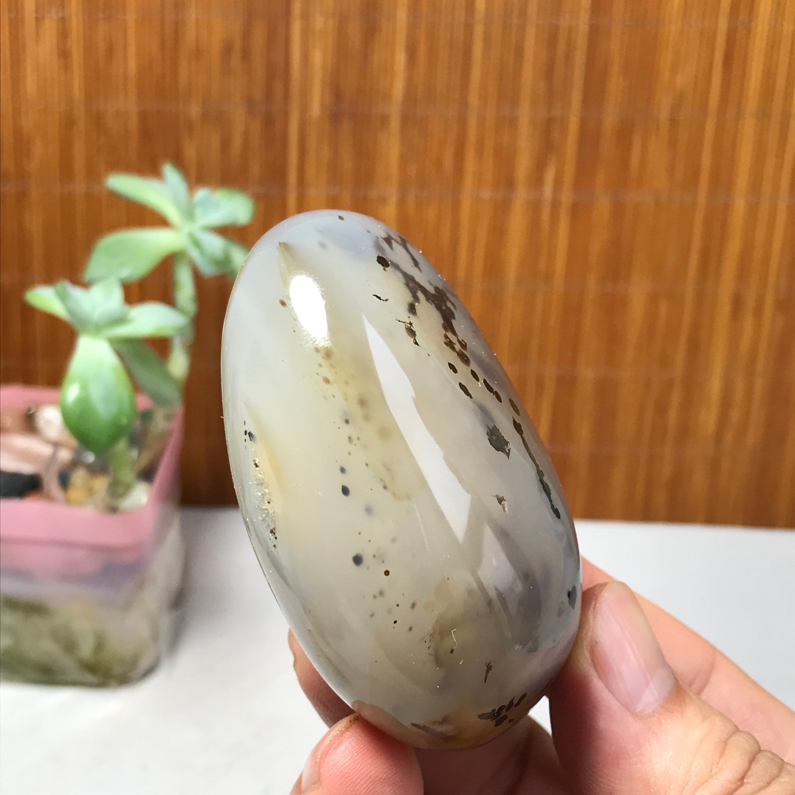 67mm Natural aquatic plants agate pretty Crystal specimens 142g A1633