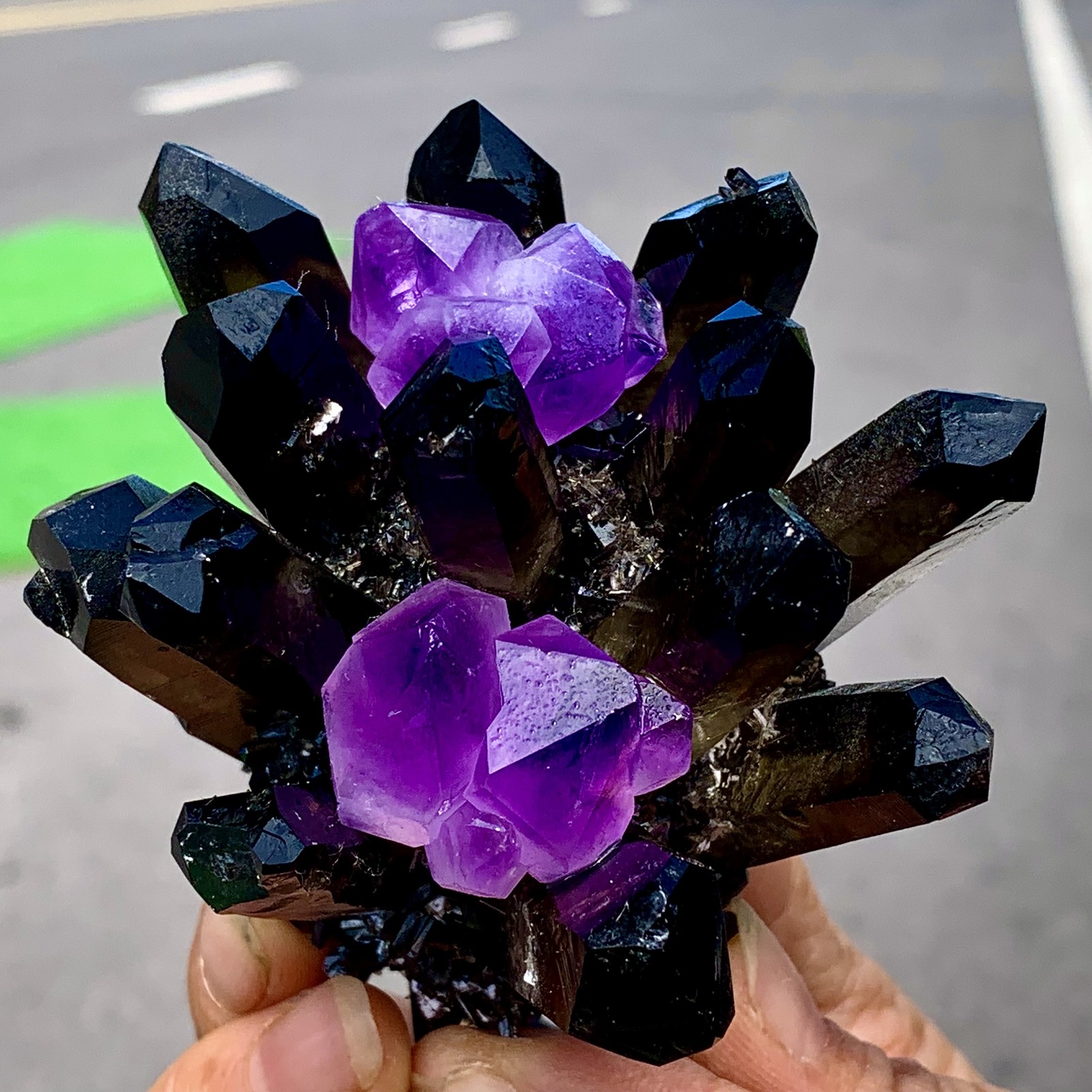 268G New Find black+purple Phantom Quartz Crystal Cluster Mineral Specimen
