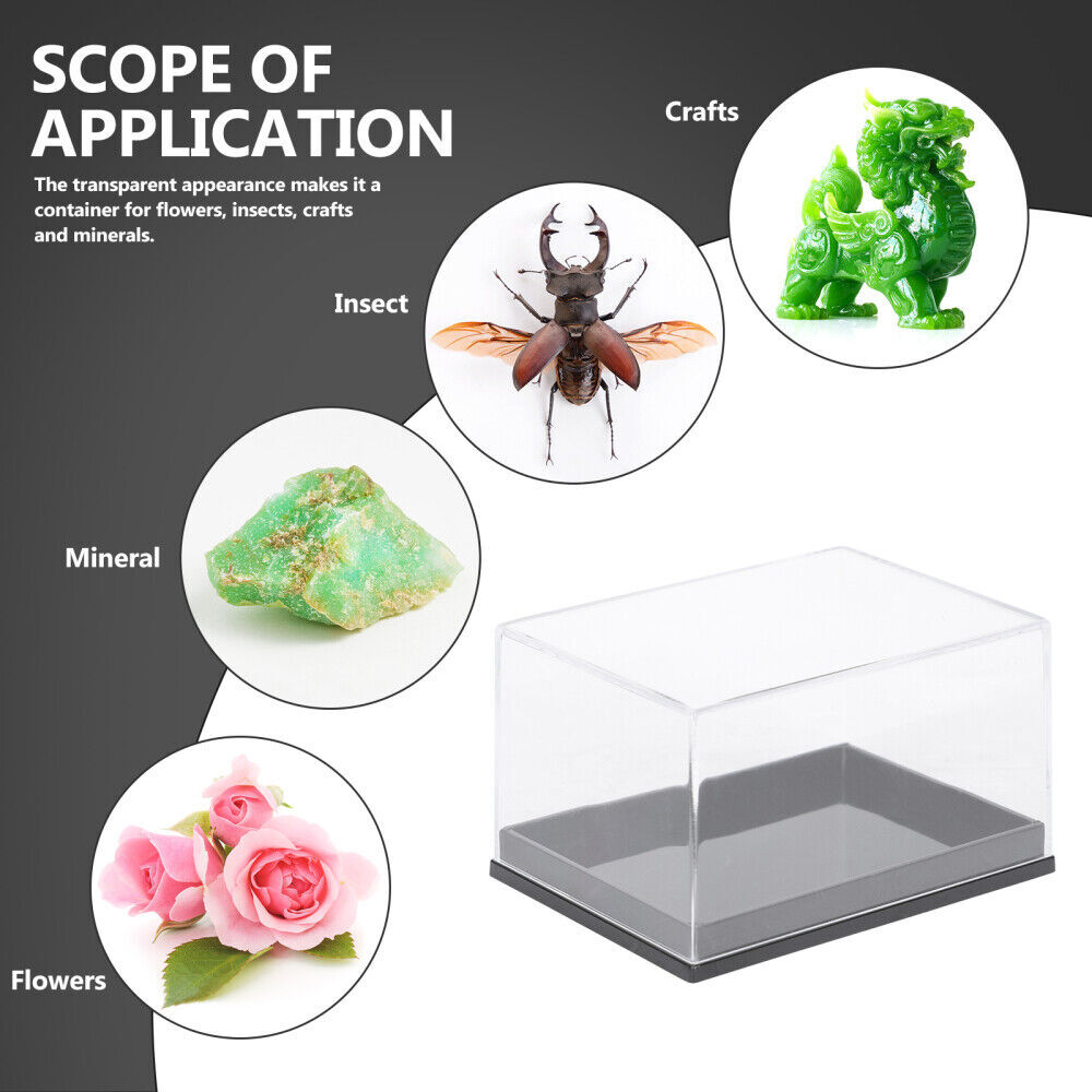 6pcs Transparent Boxes Plastic Showing Boxes Mineral Specimen Box for Shop Home