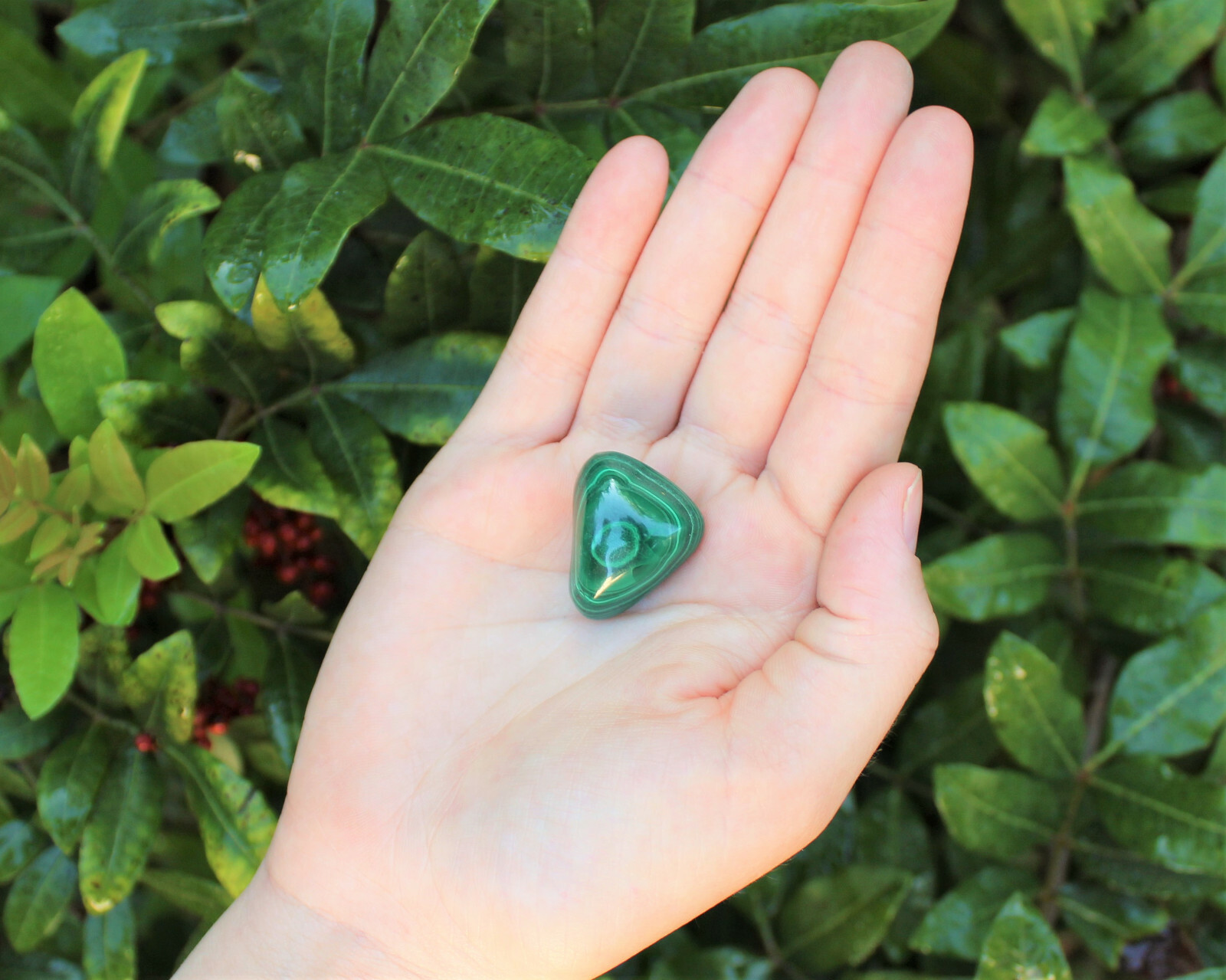 Bulk 1/2 lb Malachite Tumbled Stone: Crystal Healing Gemstone (1/2 Pound, 8 oz)