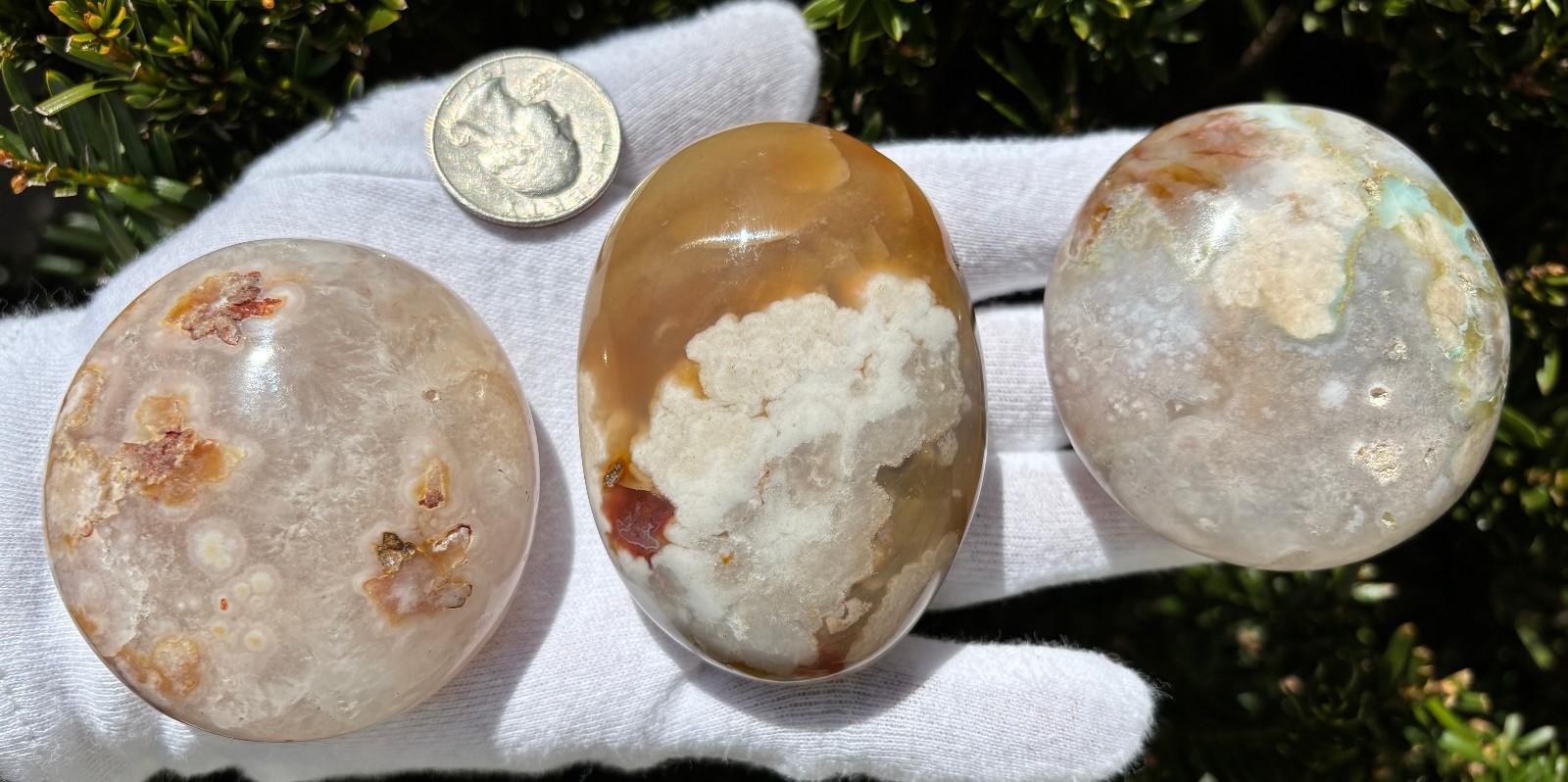 USA SALE 3/4Lb 367g LOT 3 FLOWER BLOSSOM AGATE PALMSTONES Palm Stones Stone