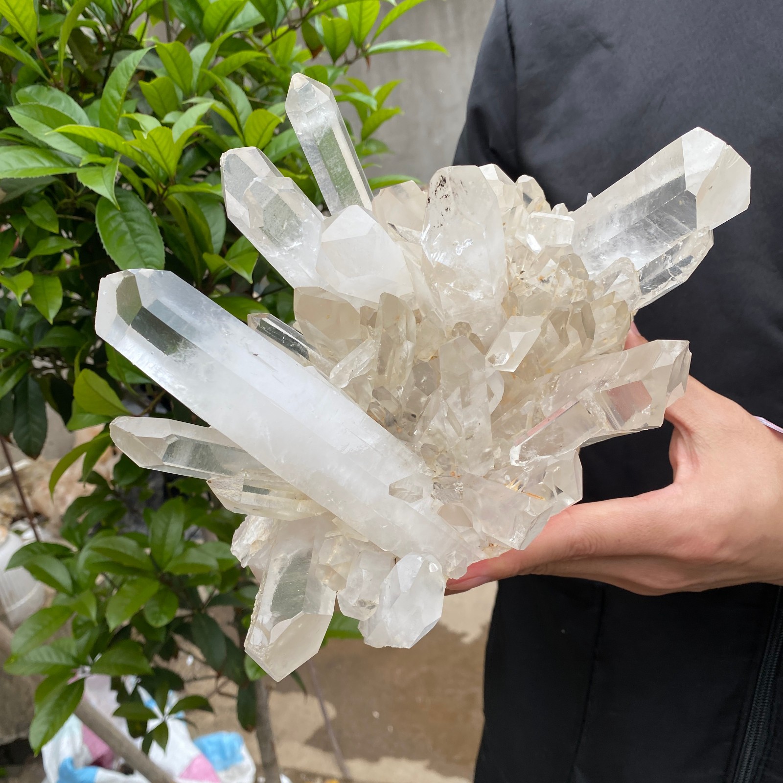 7.4lb Natural Clear White Quartz Crystal Cluster Rough Healing Specimen