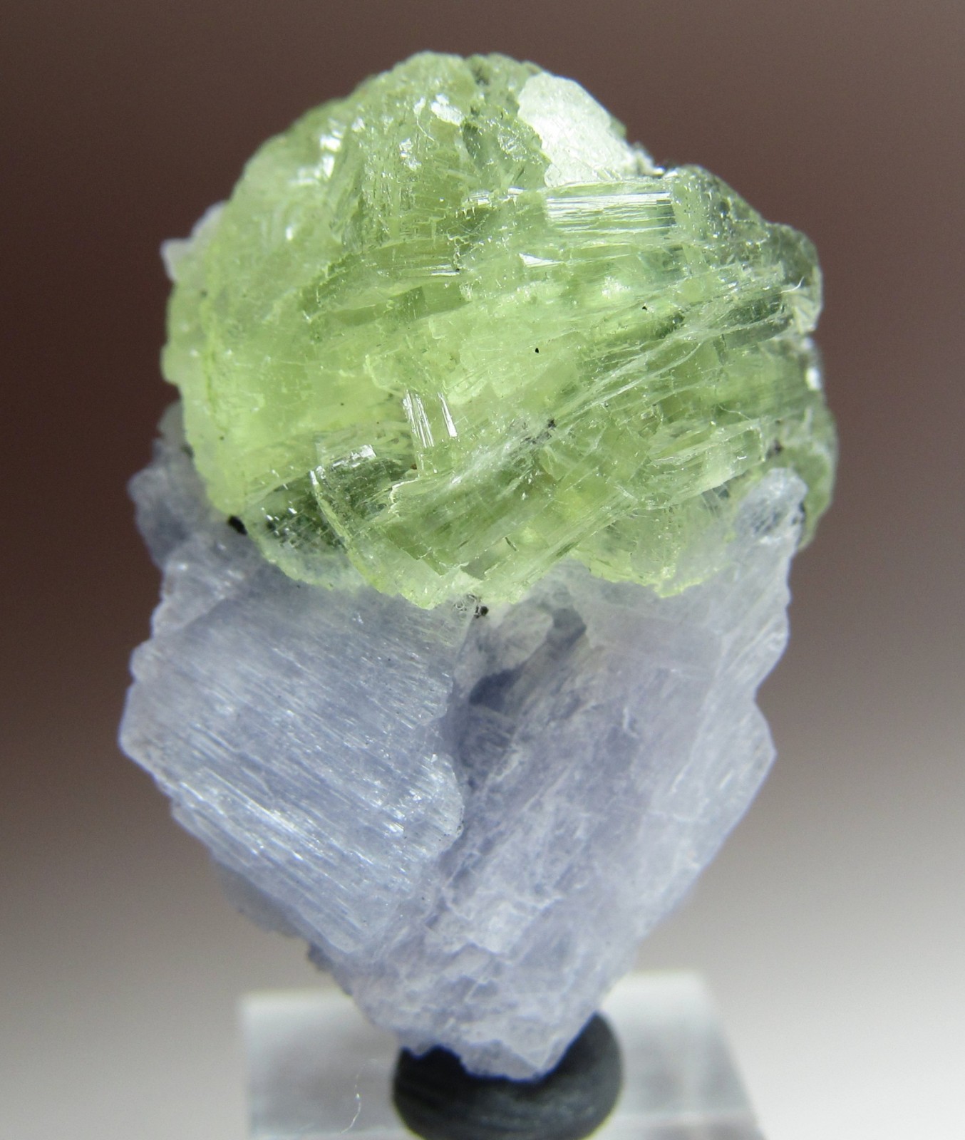 MAGICAL RARITY TANZANITE ON PREHNITE CRYSTAL!!! TANZANIA NEW FIND