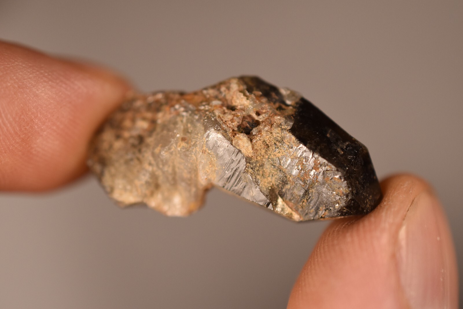 3 *AUSTRALIAN* SMOKEY QUARTZ 2-4cm 19g Natural Crystal Smoky New England NSW