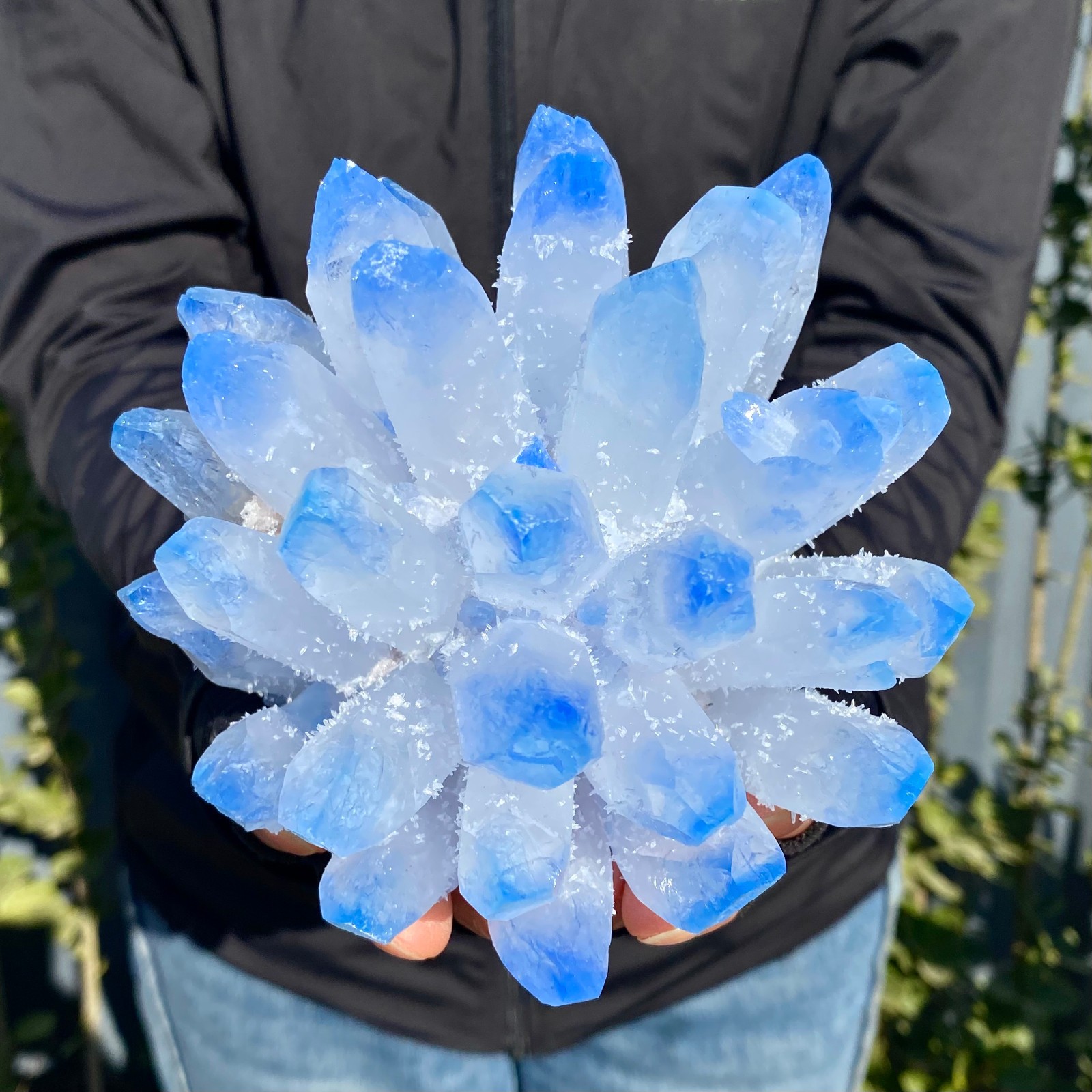 2.4LB New find blue phantom crystal quartz cluster mineral specimen healing