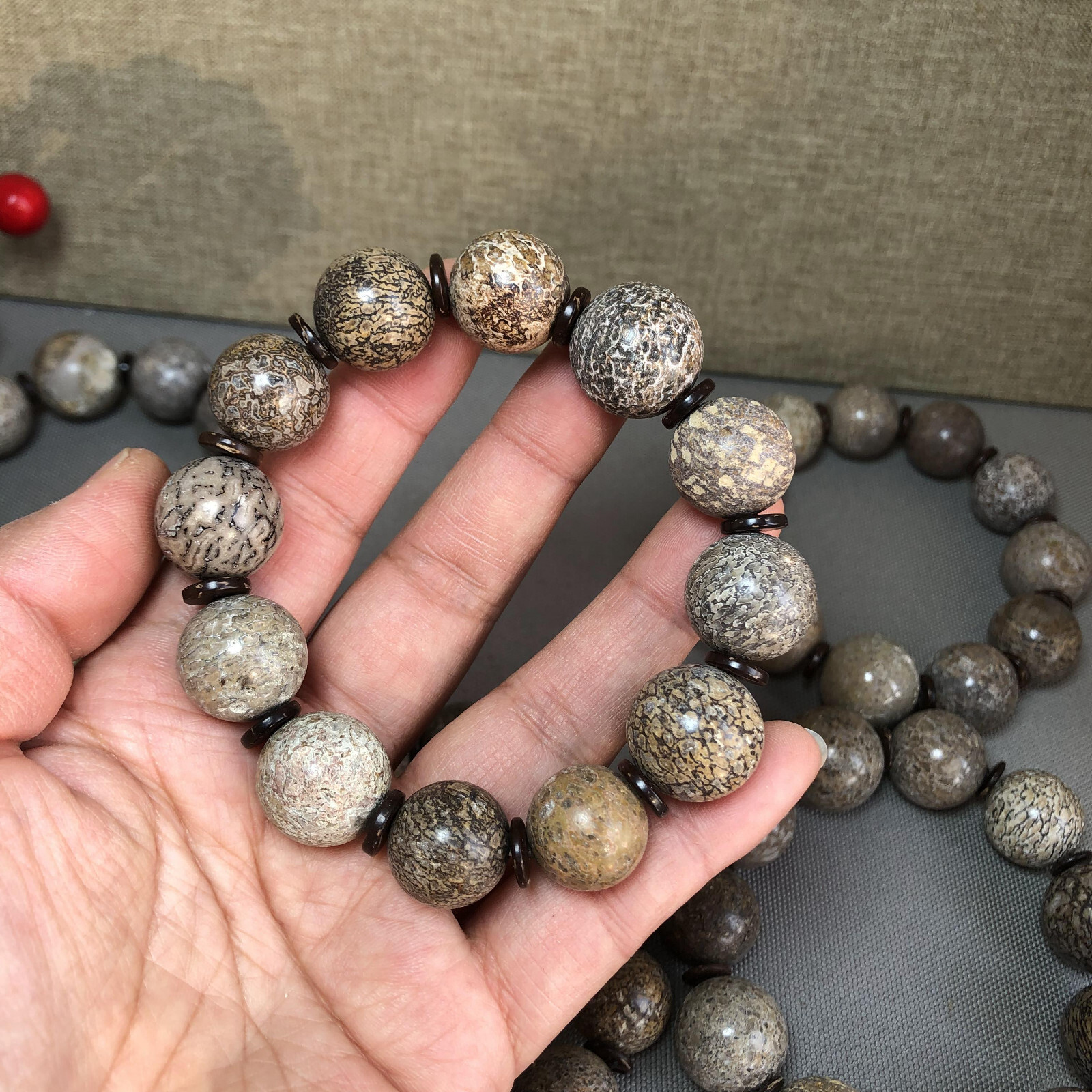 6Pcs Natural polished dinosaur bone bracelets specimen Madagascar 17-18-19mm