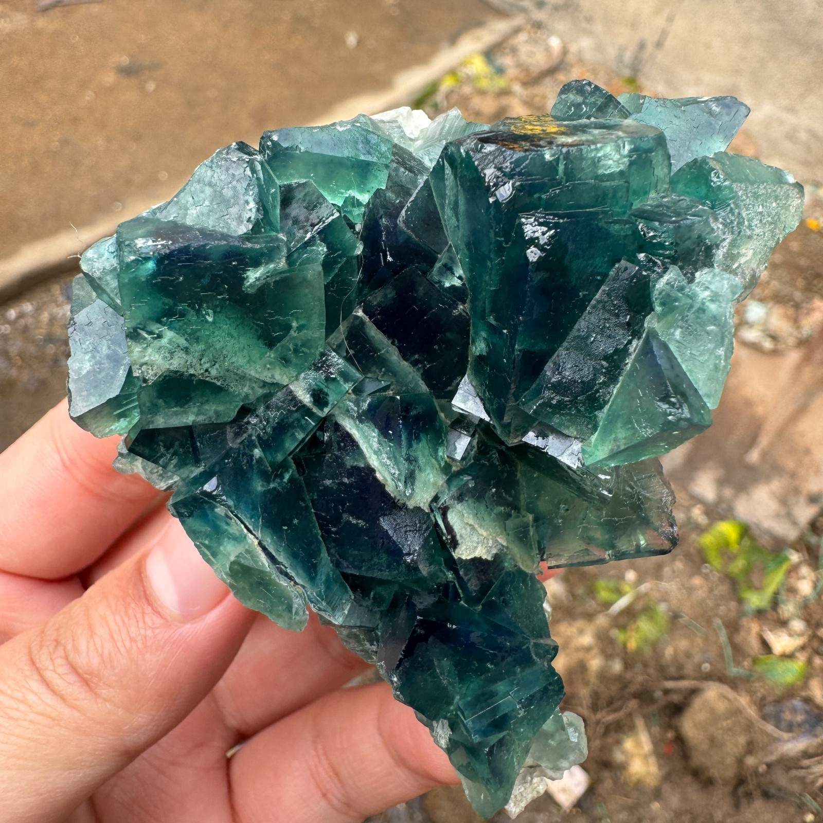 190G Natural cubic green fluorite crystal cluster rough mineral specimen Healing