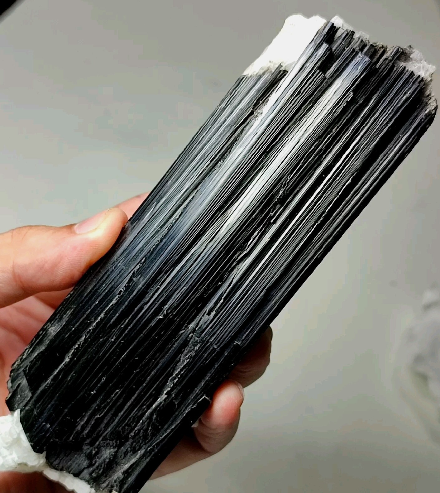 17cm Huge Black Tourmaline(Schorl) Specimen Combined With Albite-Shigar ,Pak.