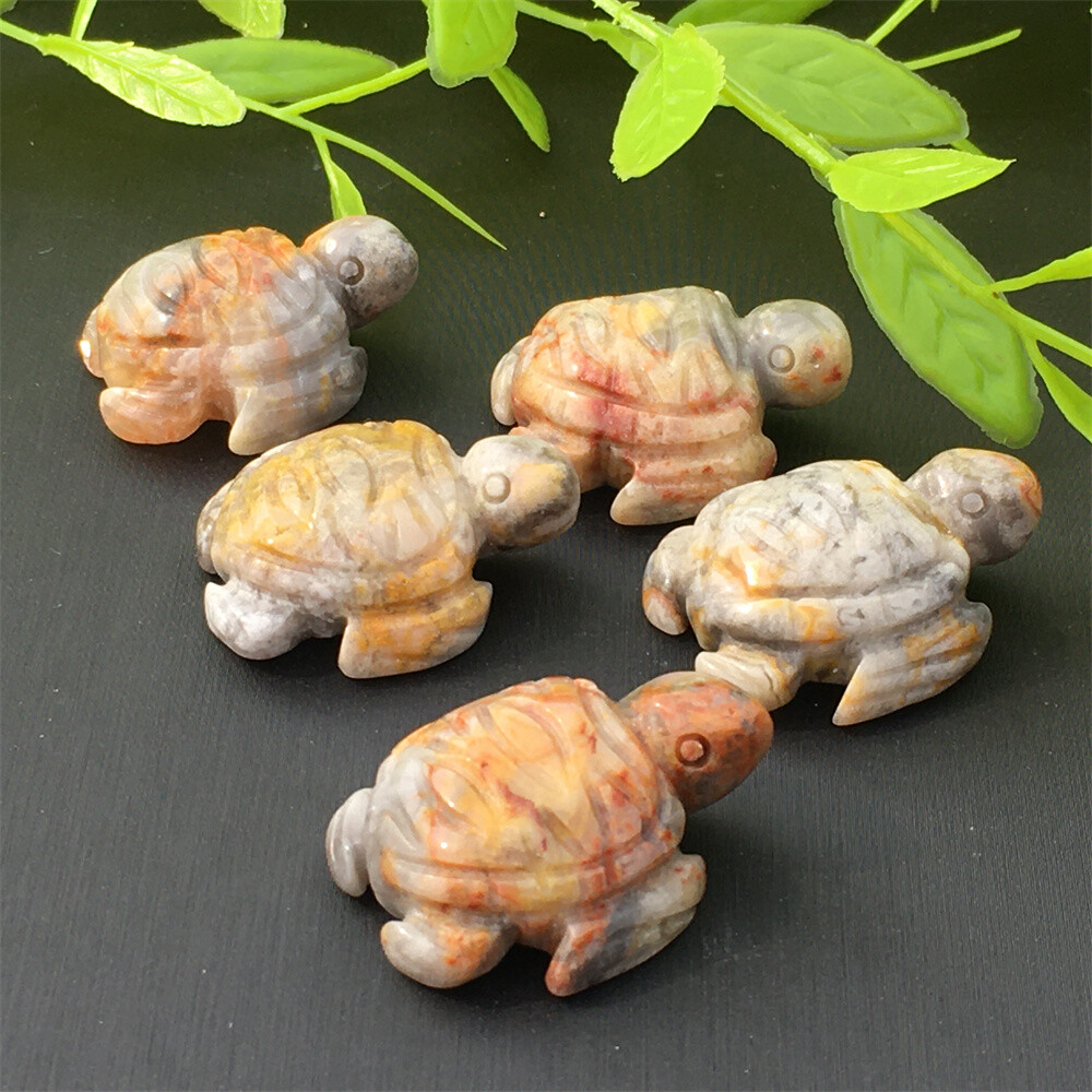 5pcs Natural Crazy agate mini tortoise carved Quartz crystal Skull reiki Healing