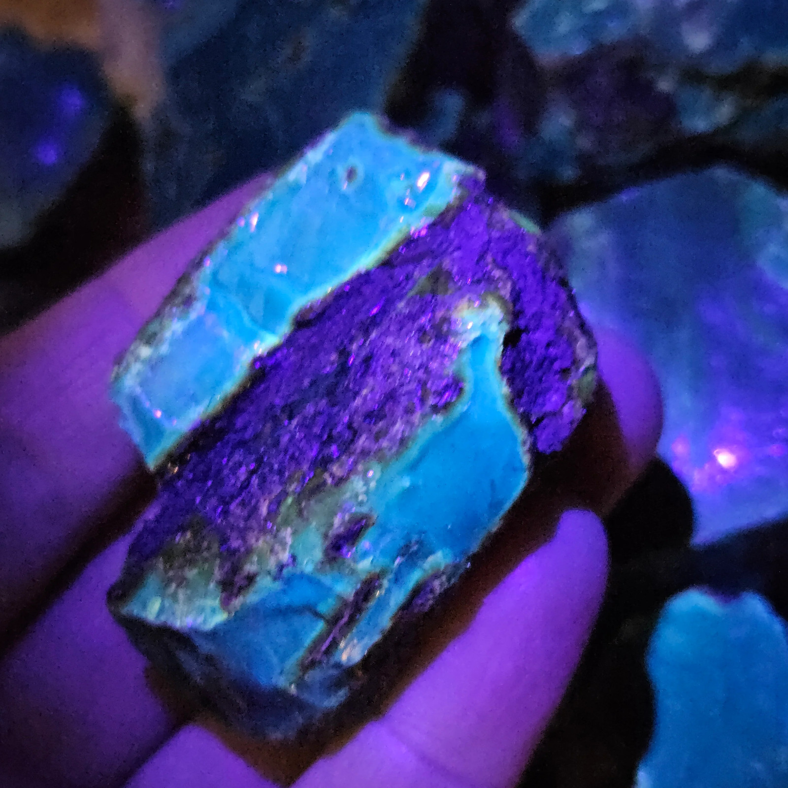 Blue Amber Specimen