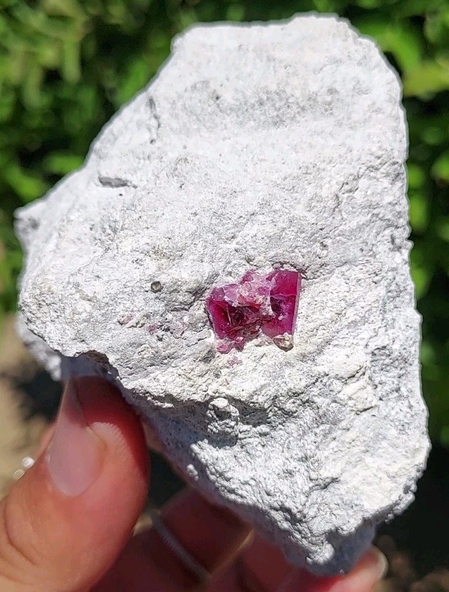 ULTRA GEM FACET GRADE SECTIONS LARGE RED BERYL / BIXBITE ON MATRIX UTAH, USA