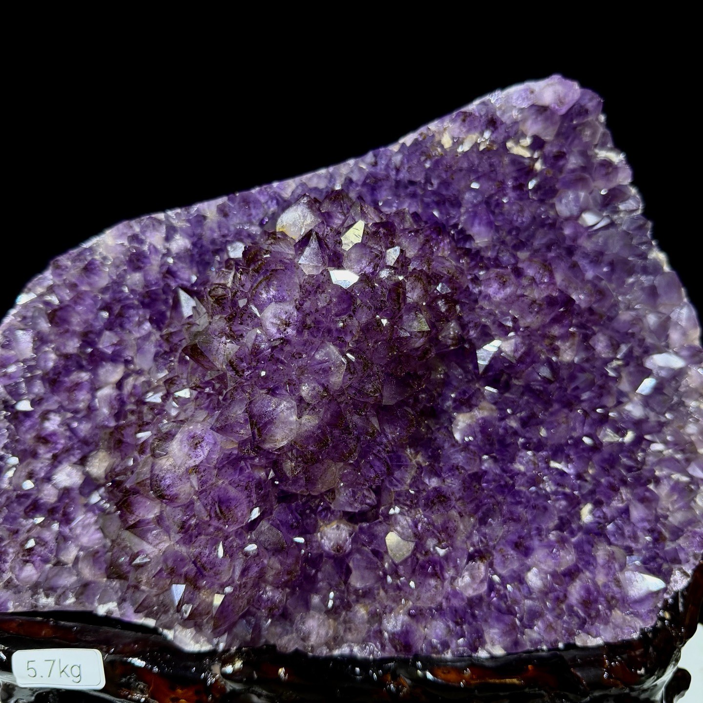 12lb RARE Top Natural Amethyst Geode Titanium Crystal Flower Cathedral Decor+ST