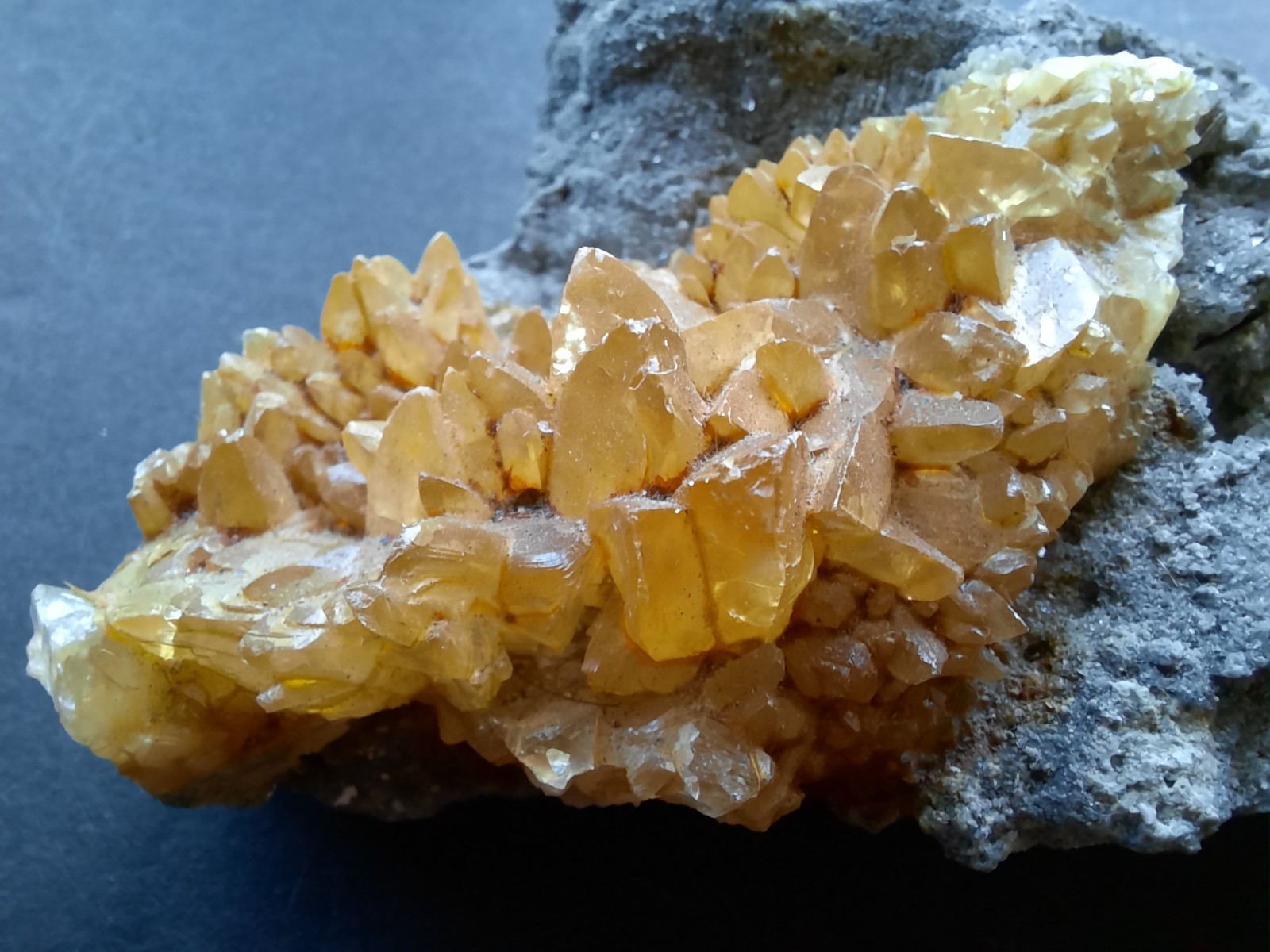 Golden Yellow Honey Calcite Crystals on Fossil Mangrove Clam Shell Rucks Pit