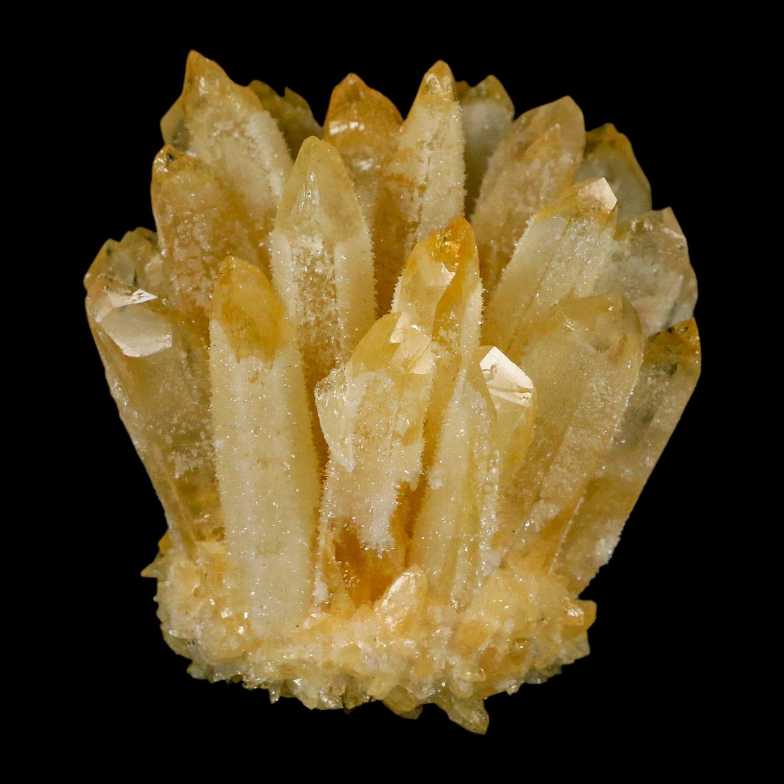 3.1″ Yellow Phantom Ghost Quartz Crystal, Chlorite Cluster Mineral Specimen