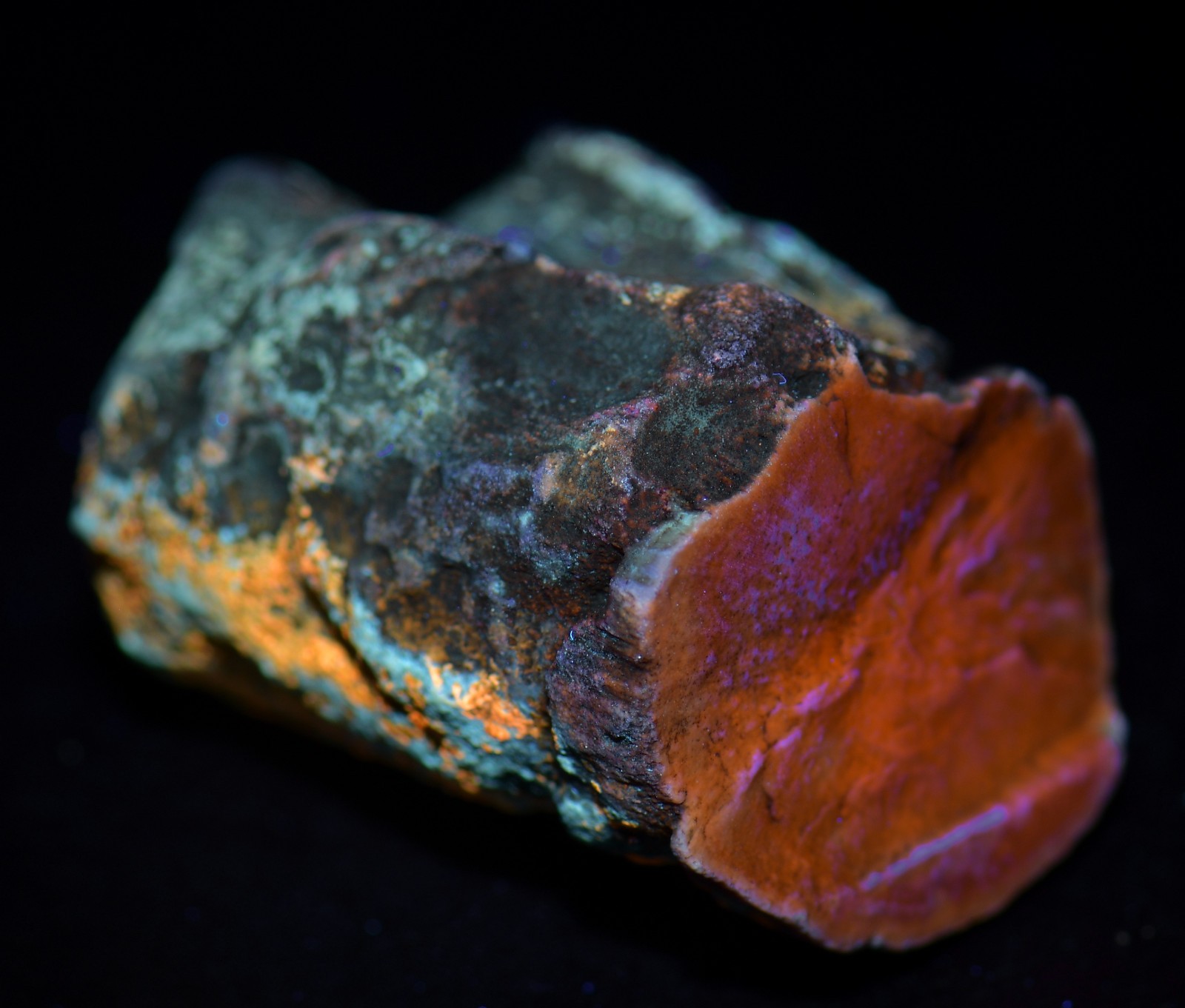 Petrified Wood, Fluorescent. Eden Valley, Wyoming. 29 grams.
