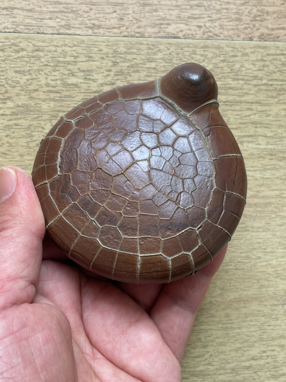412g beautiful Natural tortoise back pattern stone Moire stone Landscape stone