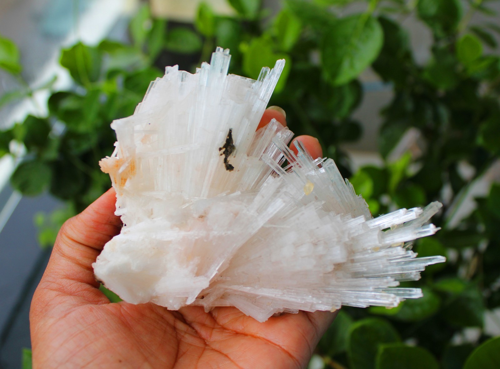 SCOLECITE FORMATION MINERALS SPECIMEN INDIA
