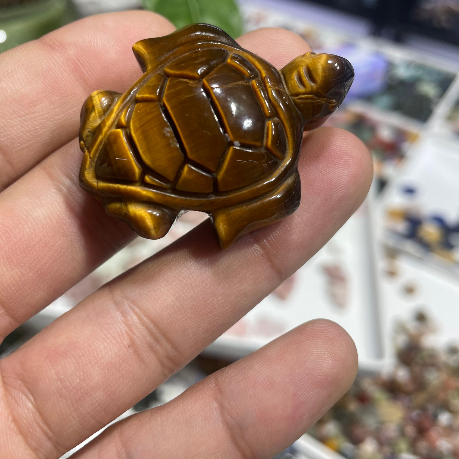 Natural Tiger eye tortoise Quartz Skull Crystal Specimen Reiki Healing Gift 1PC