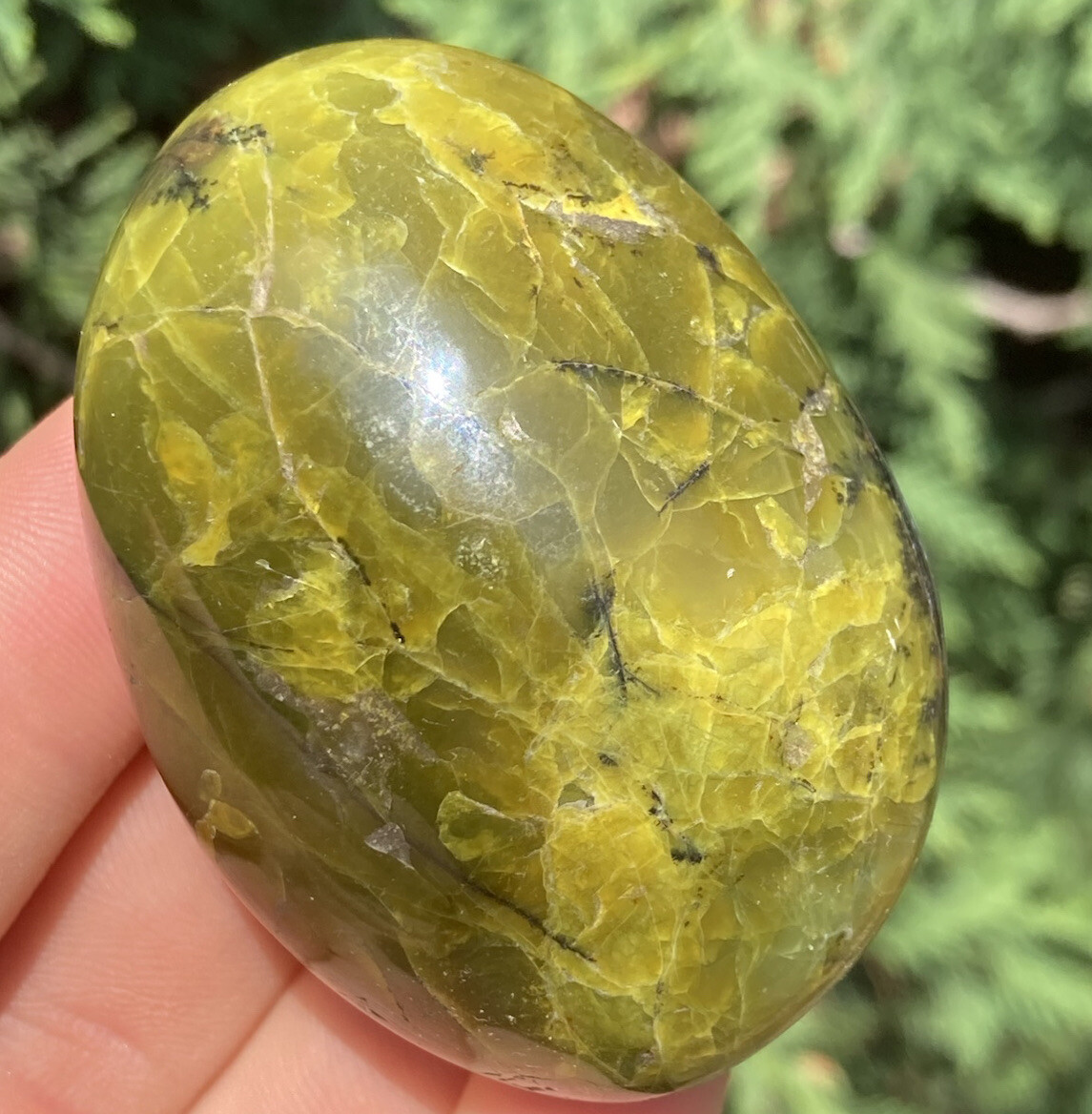 Handmade Polished GREEN OPAL Healing Crystal Palm Stone Pebble MADAGASCAR 2.4″