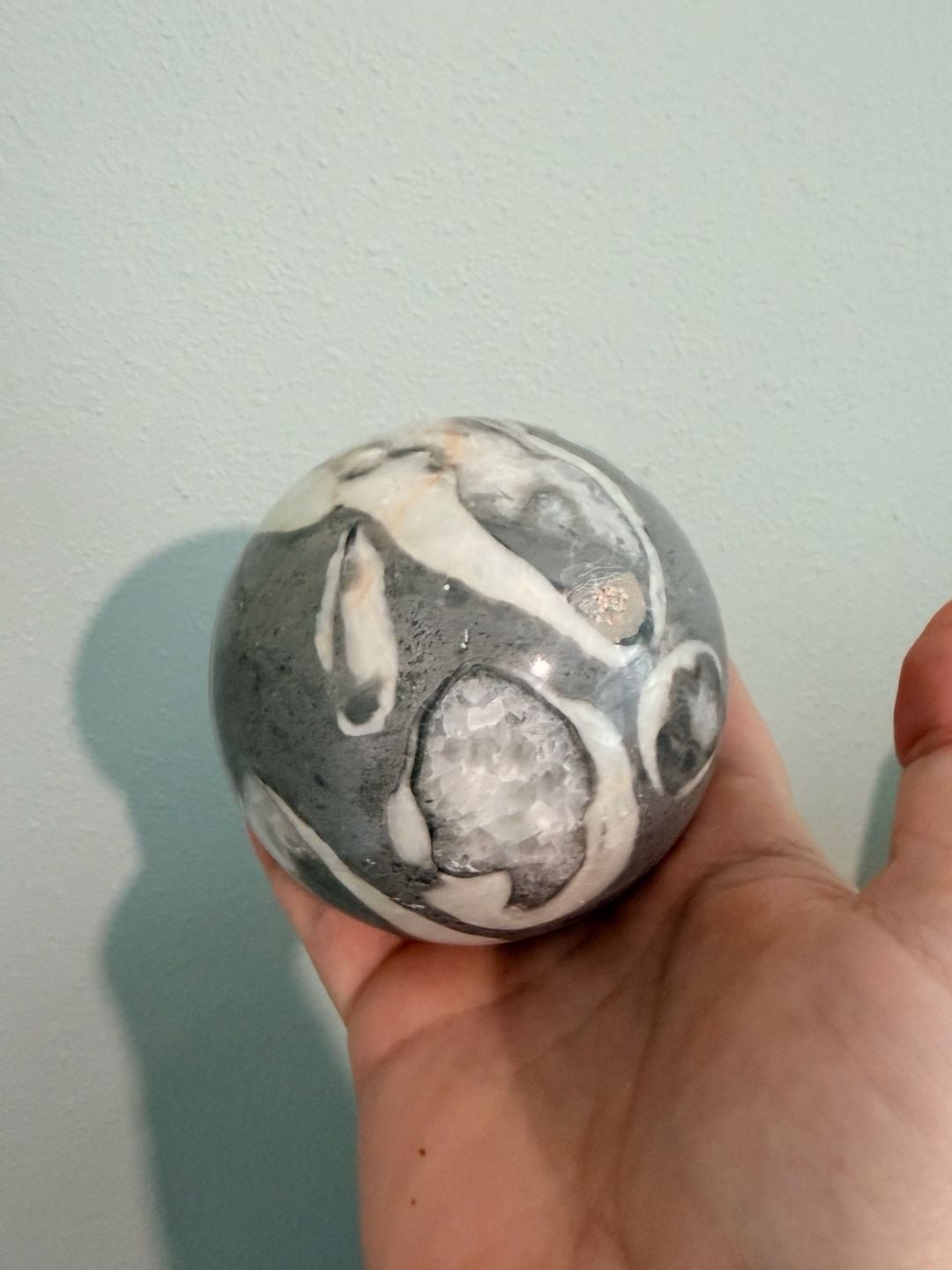 Natural Thousand Eye Shell Fossil Jasper Crystal Sphere Chakra Reiki