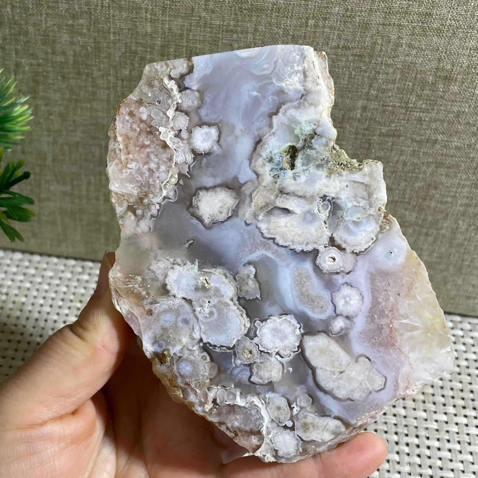 Sakura Agate Blossom Facet Rough Specimen Madagascar 310g g18