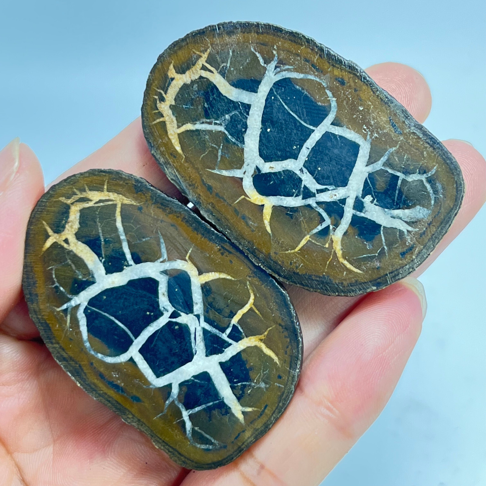 62G Natural Crystal Moroccan Turtle Back Stone Cutting Quartz Energy Spirit