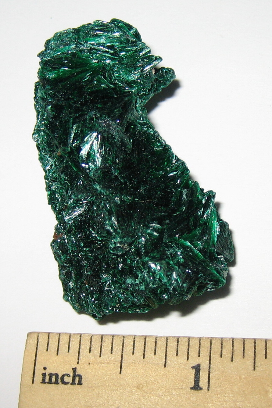 1.7″ BEAUTIFUL FIBROUS MALACHITE CRYSTAL CLUSTER FROM THE CONGO ~ 33.9grams *6