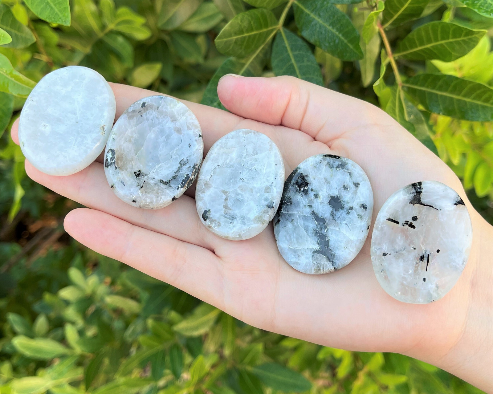 Rainbow Moonstone Worry Stone (Smooth Polished Rainbow Moonstone Palm Stone)