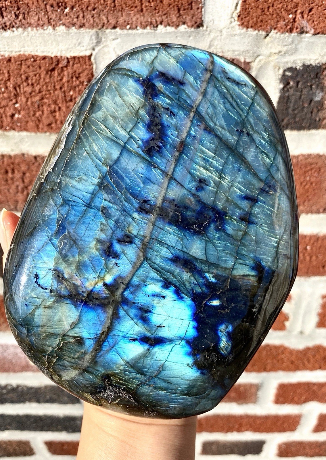 Wholesale Lot 3-5 Pcs Natural Labradorite Freeform Crystal 7.8-8 Lbs