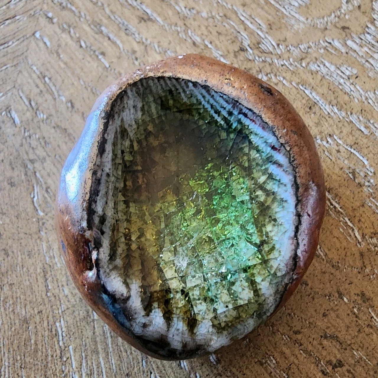 Fossilized Sea Shell Rock Green Crystals Preserved With Clear Coating