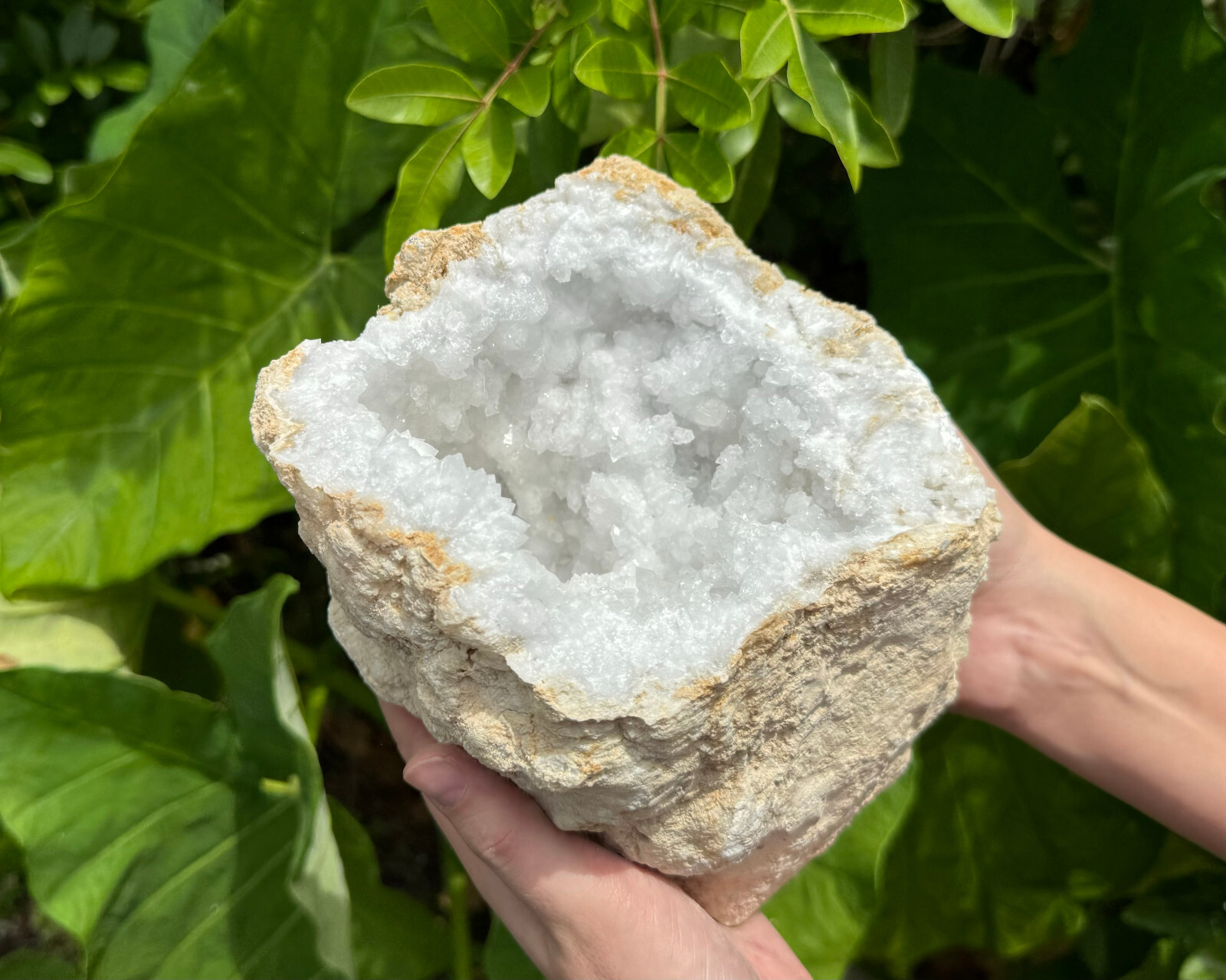 MASSIVE Sugar Quartz Geodes – Natural Crystal Geode Specimens From Morocco