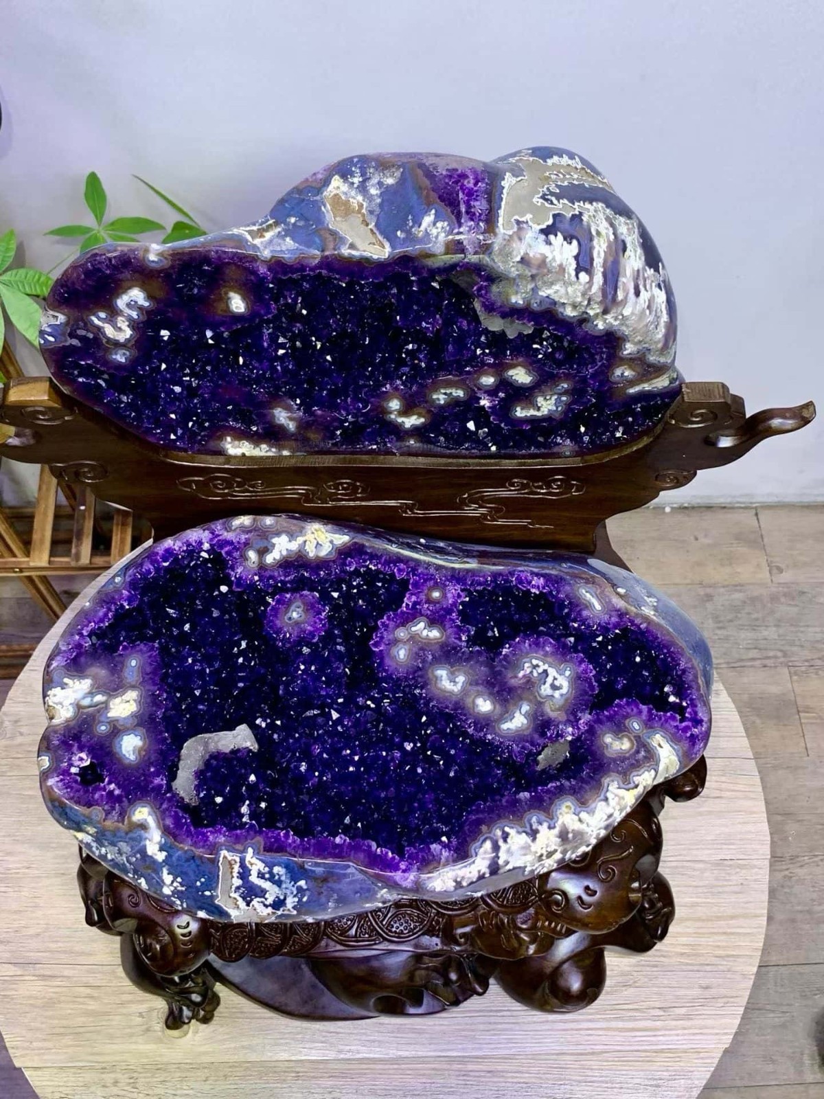 123.LB Large! Natural A treasure basin of amethyst cave in Uruguay Reiki + Stand