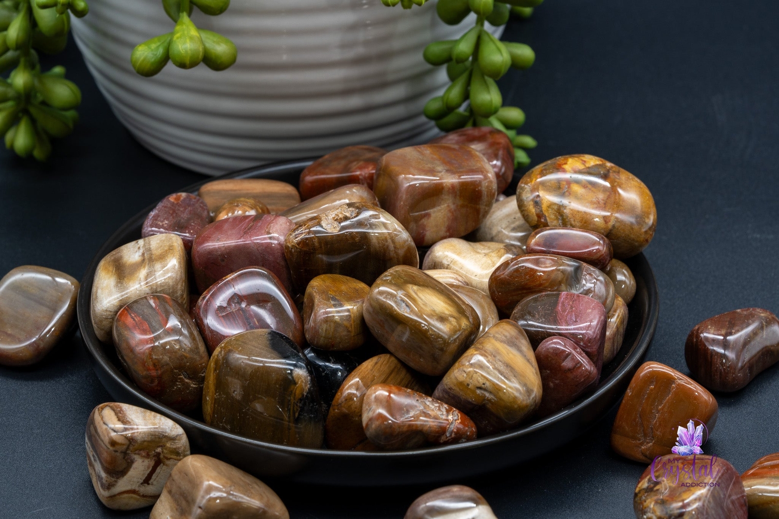 Petrified Wood Tumbles