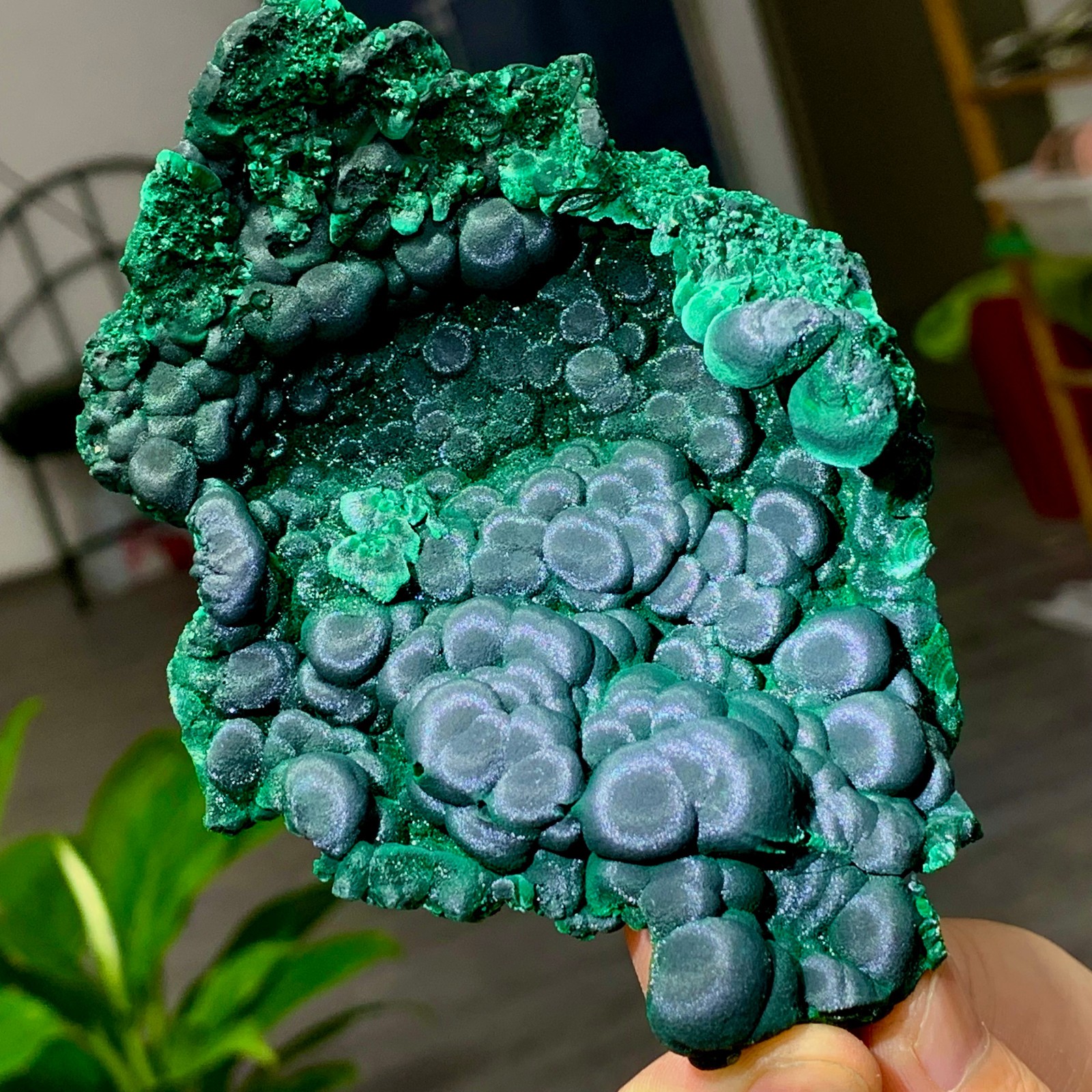 205g Natural glossy malachite cat eye transparent cluster rough mineral Sample