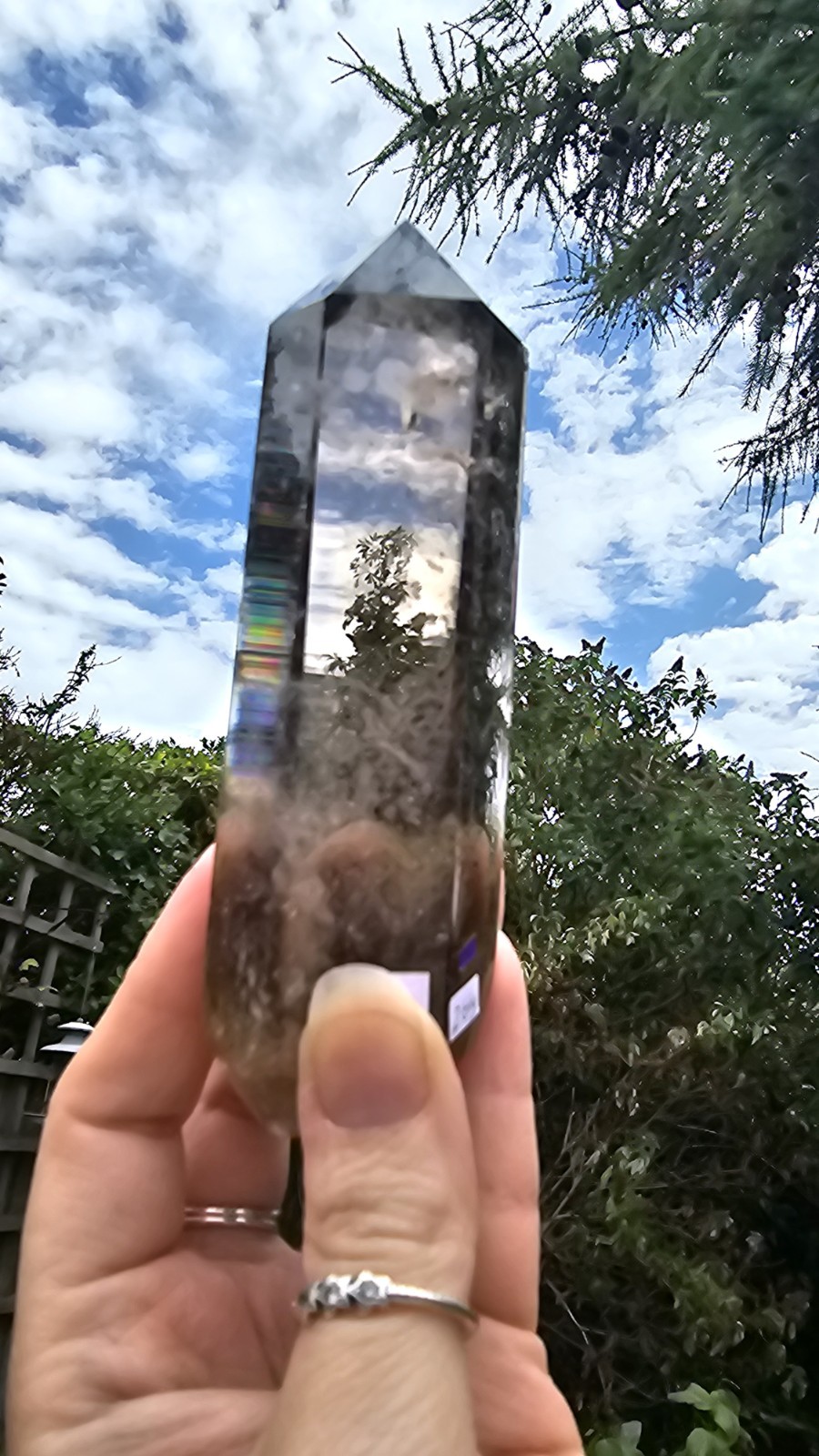 A Grade Smokey Quartz Freeform On Wood Root Base Point 261g 15.5cm smoky
