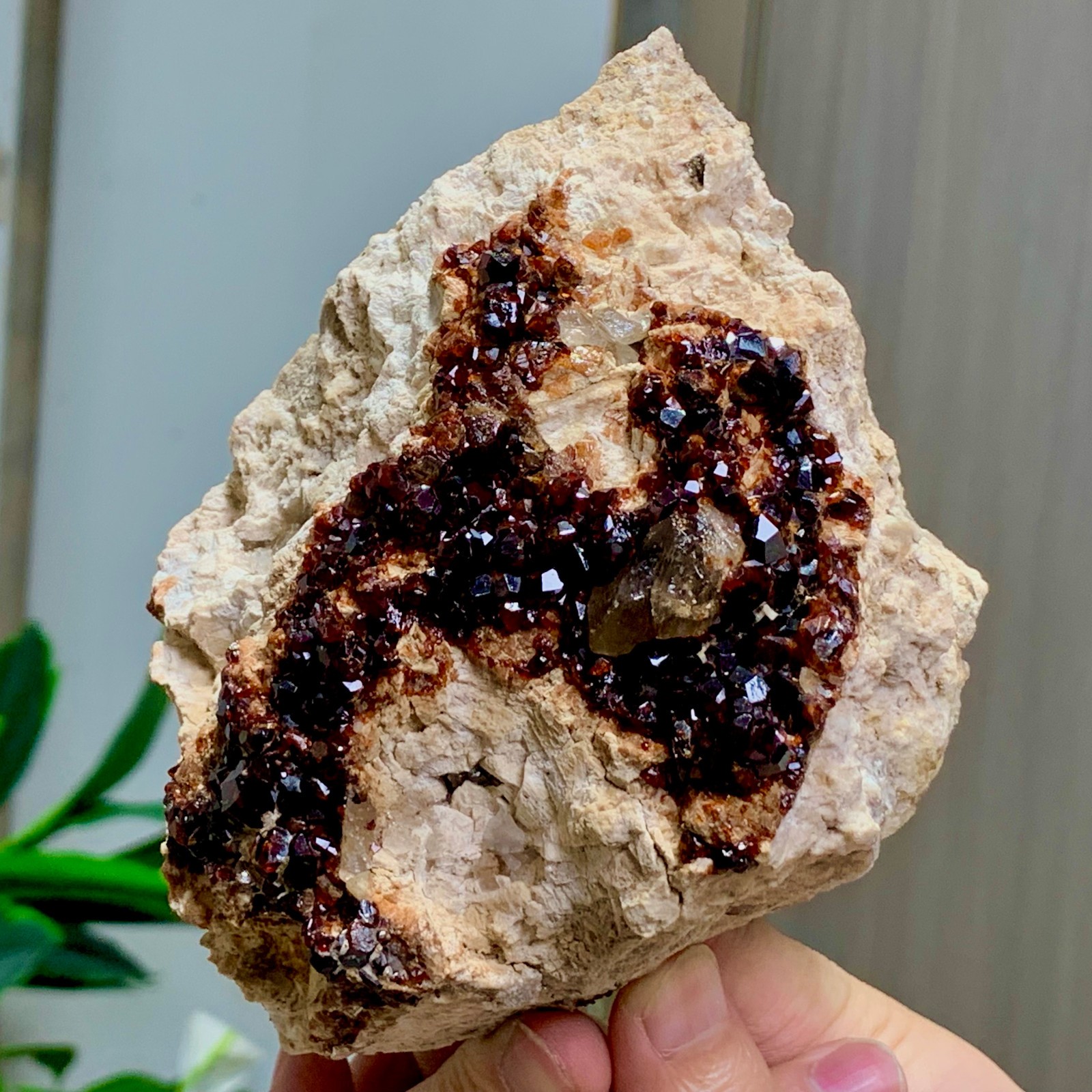 1.92LB Natural Garnet with smokey quartz cluster Crystal Mineral Specimen