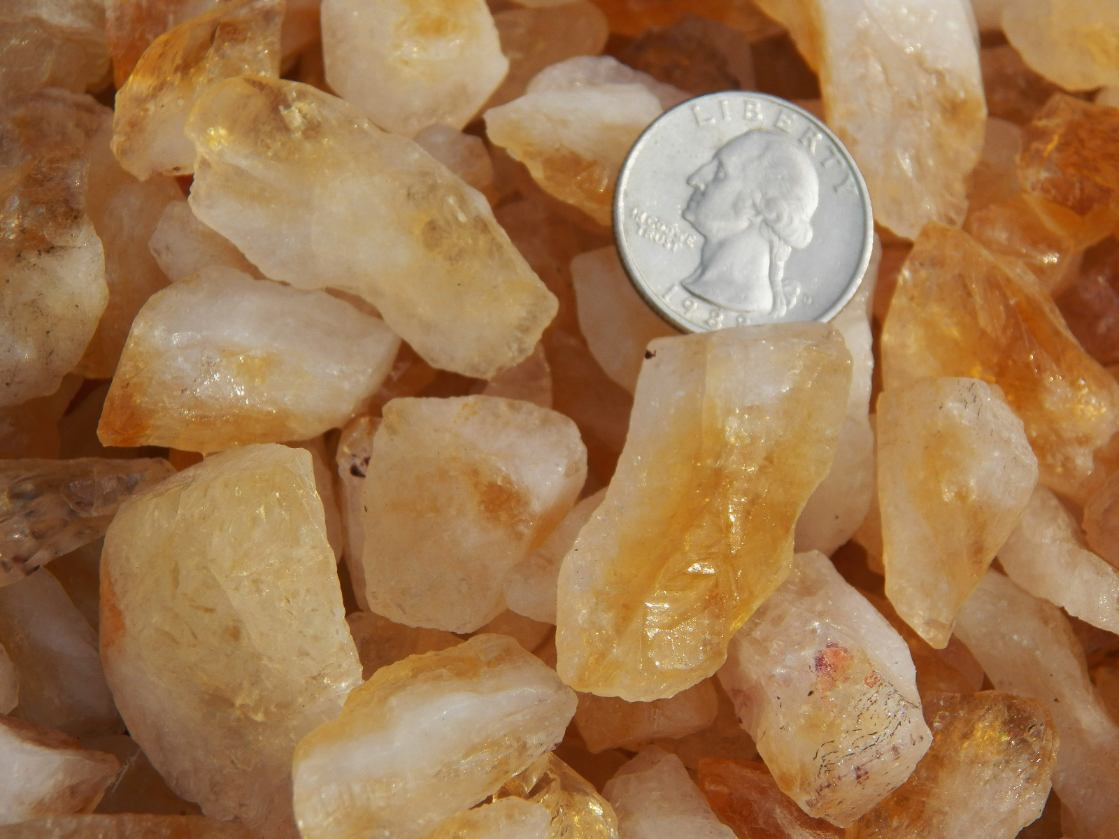 500 Carat Lots of Citrine Points Rough – Plus a FREE Faceted Gemstone