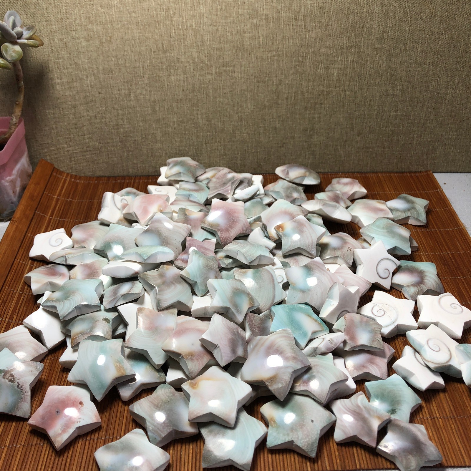 1000g Rare sun shell Reiki Shiva Eye ocean semi-precious stone 100-120pcs A3311