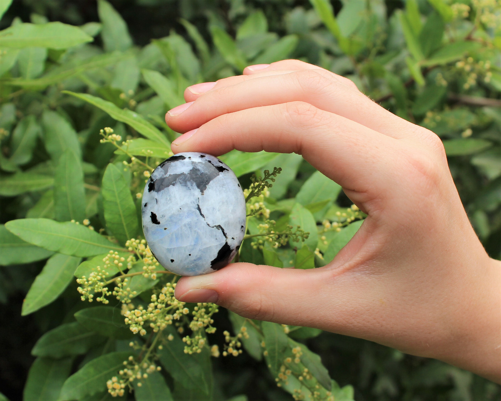 Rainbow Moonstone Palm Stone: Rainbow Moonstone Pebbles, Hand Polished