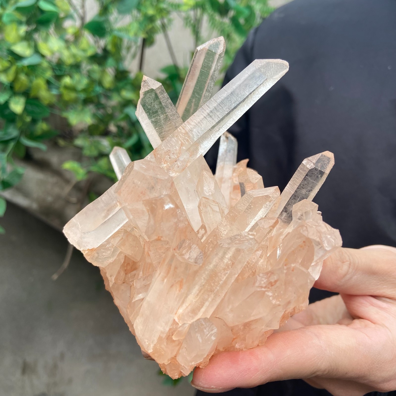 1.7lb Natural clear powder white quartz crystal cluster mineral specimen