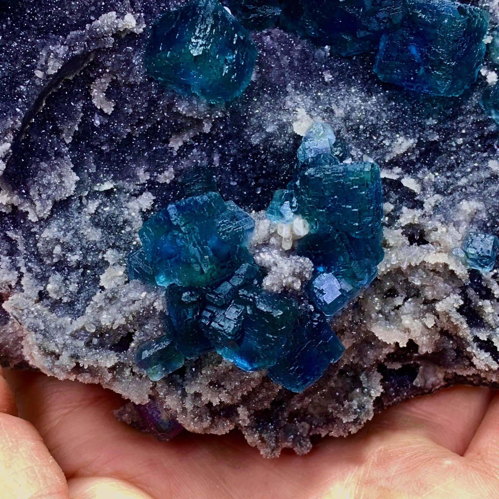 1.36LB Natural transparent purple cubic fluorite mineral sample Inner Mongolia