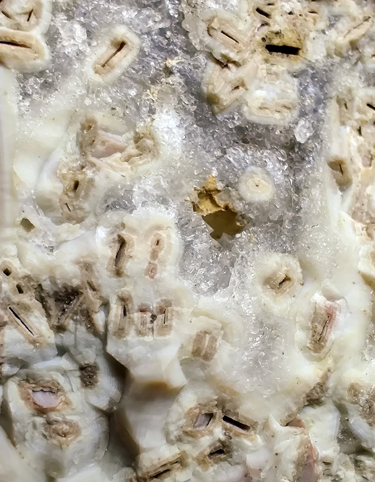 Anhydrite Quartz pseudo on matrix. Paterson, New Jersey. 209 grams.