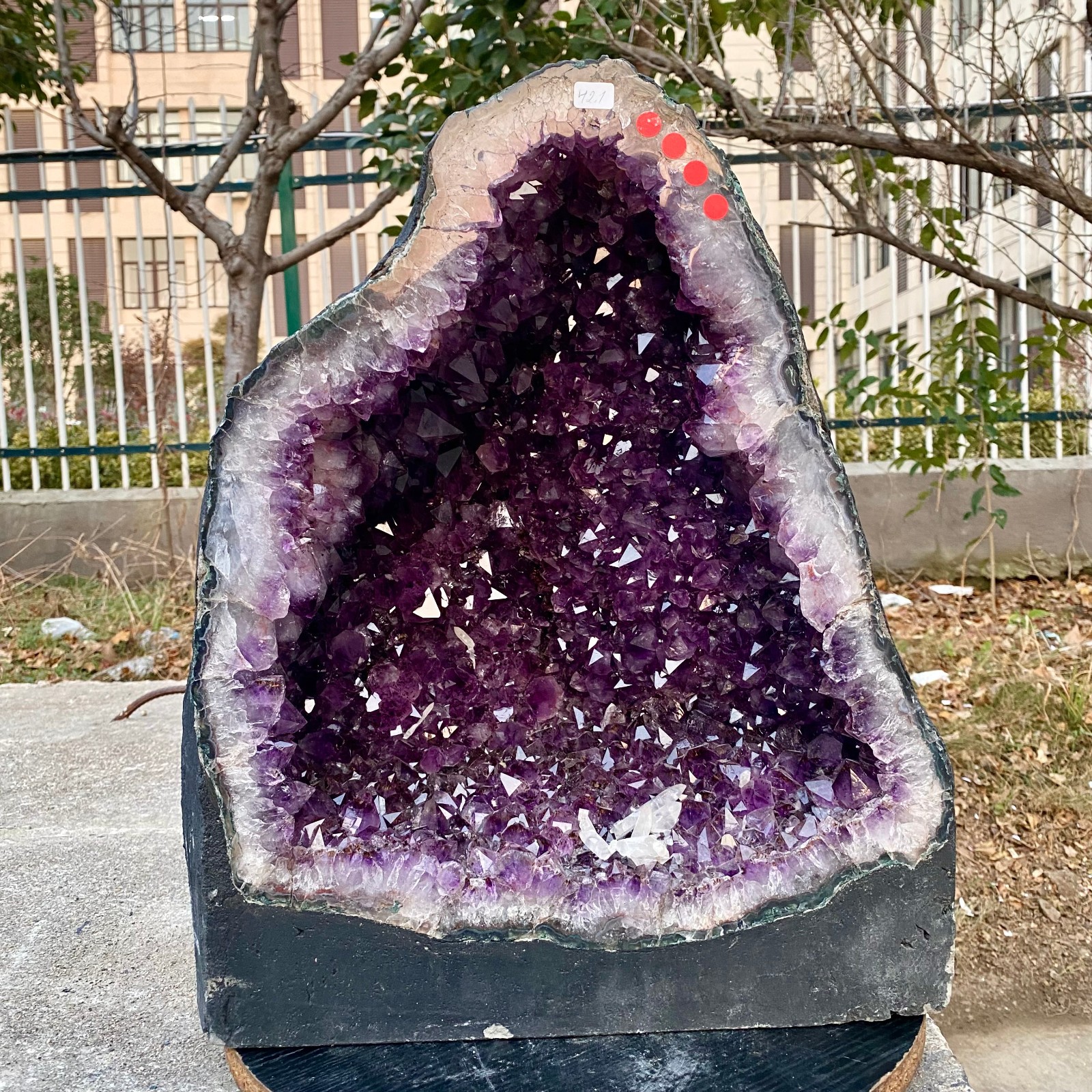 92.8LB Natural Amethyst Geode Quartz Crystal Cluster Cathedral Energy healing