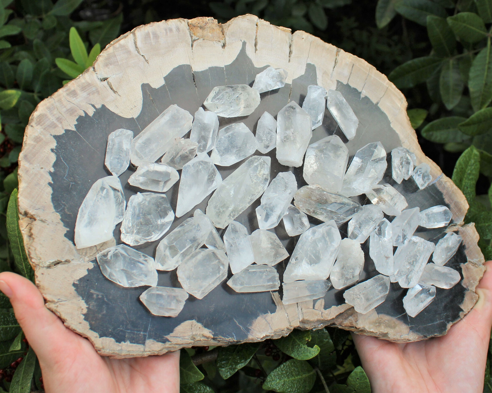 500 Carat Lot Natural Clear Quartz Crystal Points Wand US Seller (100 Gram)