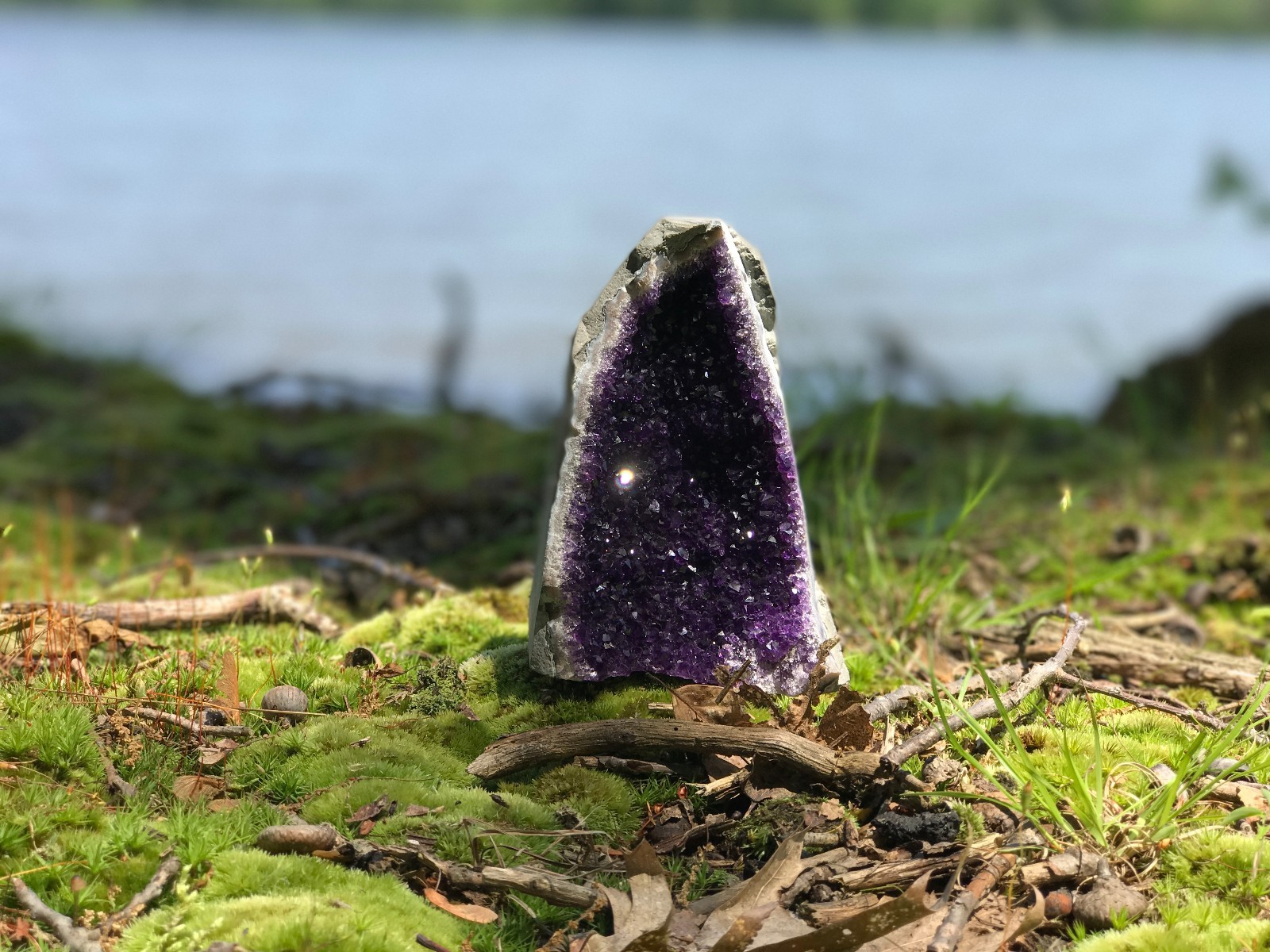 Amethyst Druze Crystal Cluster With Cut Base ~ EXTRA LARGE Size Specimen ~ 2 Lbs