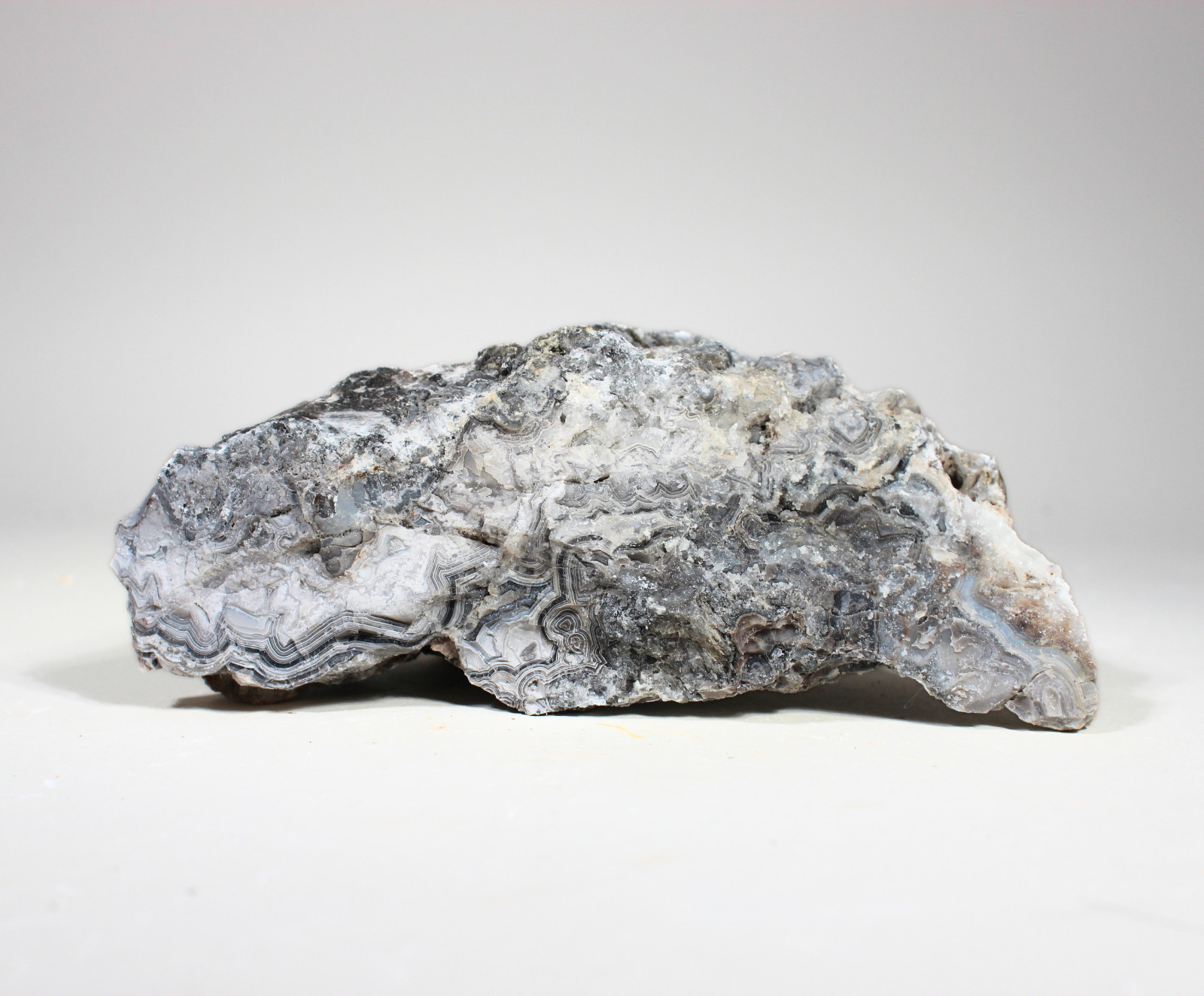 Tuxedo Lace Agate – “A” Grade Slabbing Rough – Bulk Wholesale Options