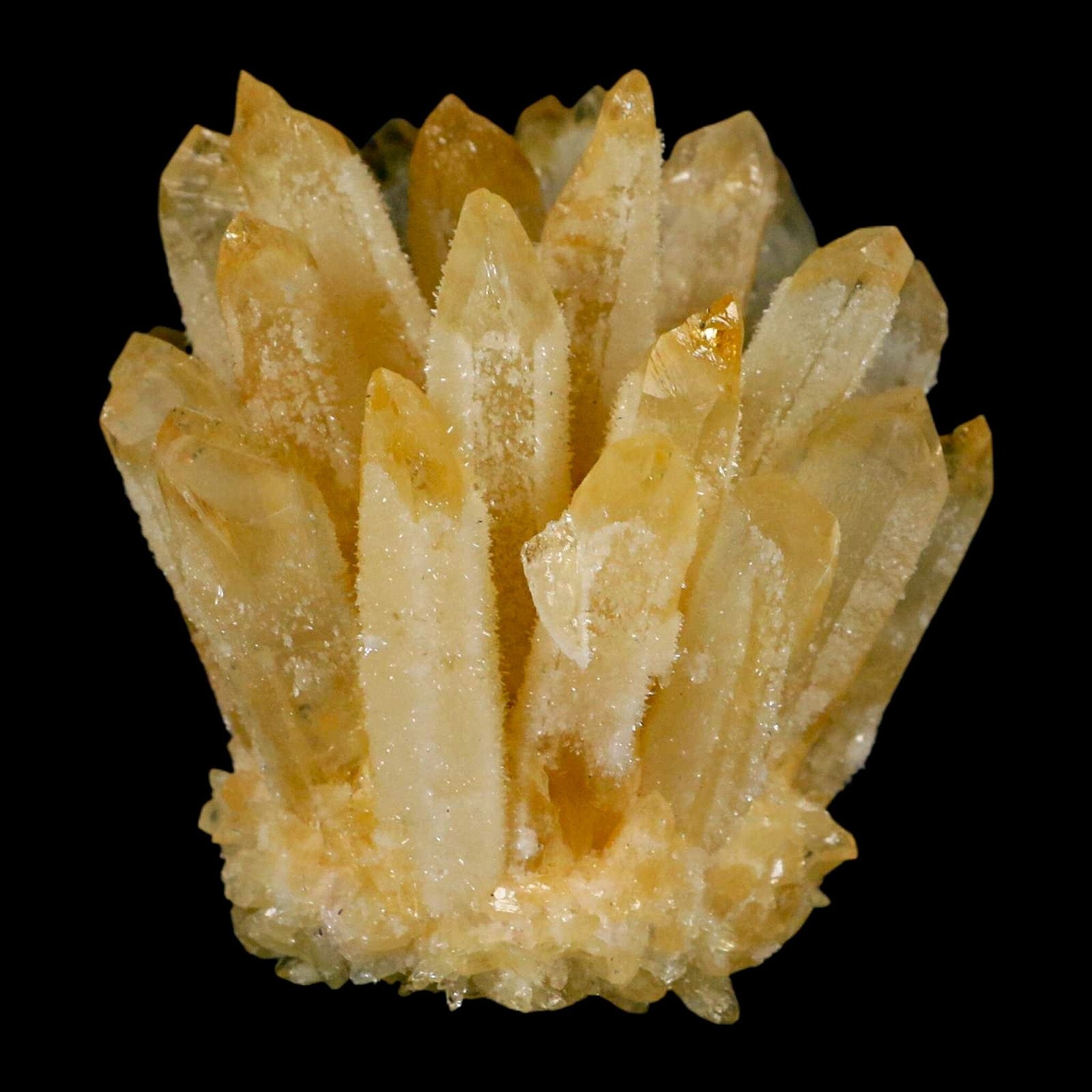 3.1″ Yellow Phantom Ghost Quartz Crystal, Chlorite Cluster Mineral Specimen
