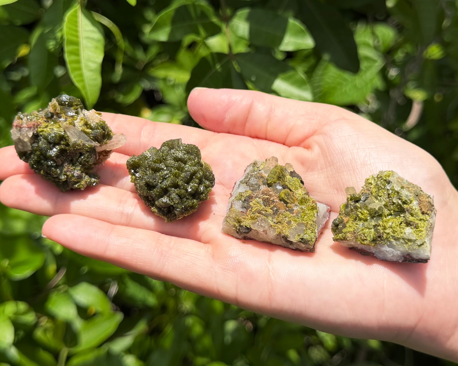 Natural Epidote with Quartz Crystal Clusters – Fairy Forest Quartz Minerals